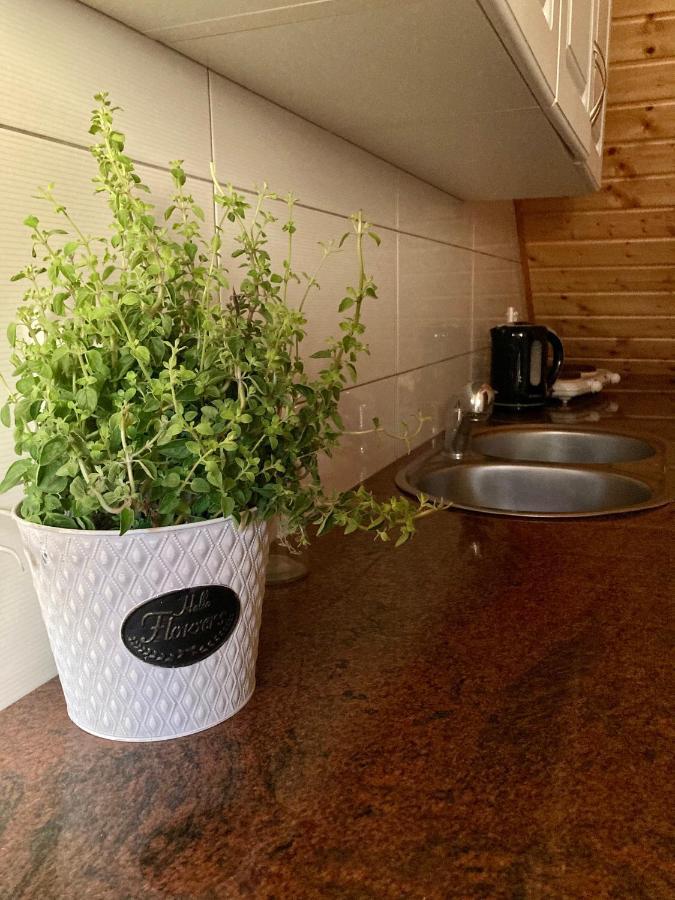Osada Laskowo, Osrodek Laskowo Domki Nad Jeziorem Exteriör bild