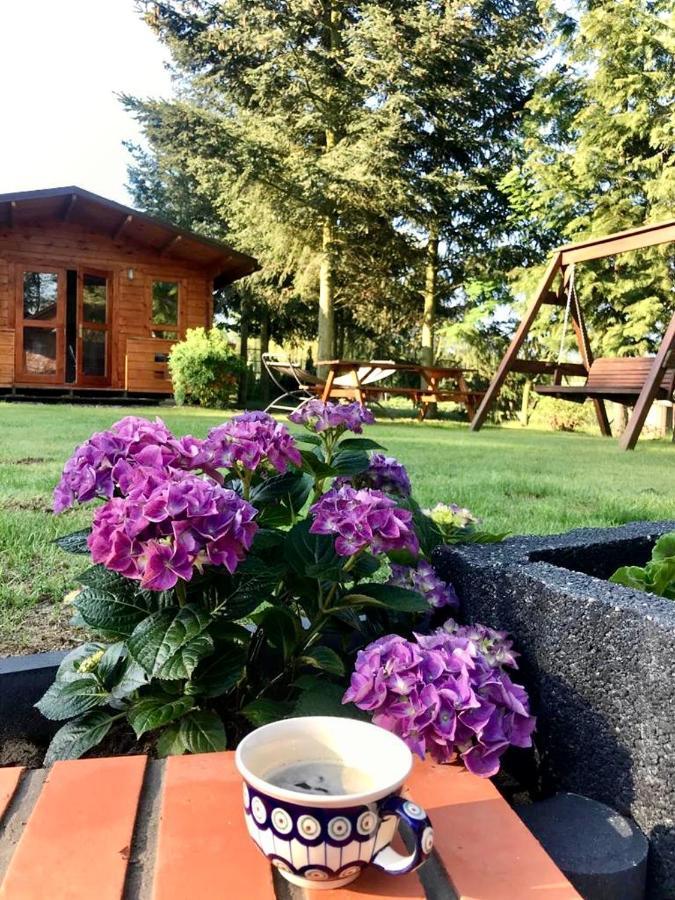 Osada Laskowo, Osrodek Laskowo Domki Nad Jeziorem Exteriör bild